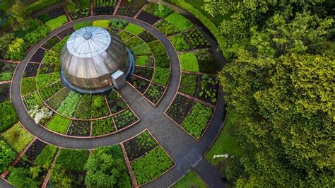 Agenda virtual de agosto, actividades del Jardín Botánico de Bogotá ...