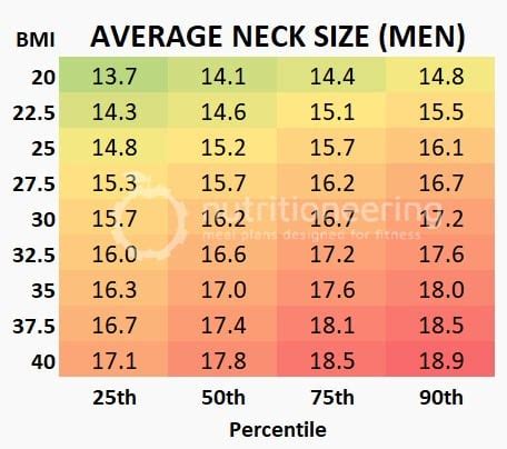 See How Big An 18 Inch Neck Is With Charts and Statistics