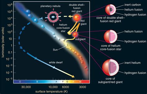 [DIAGRAM] H R Diagram Picture Of Star Evolution - MYDIAGRAM.ONLINE