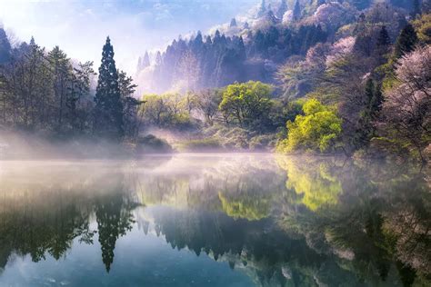 Download A Lake With Trees And Mist In The Background | Wallpapers.com