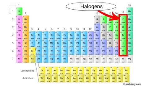 Periodic Table Labeled Halogens – Two Birds Home