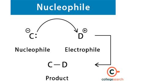 Difference Between Electrophile and Nucleophile: Definitions, Examples ...