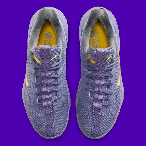 Nike LeBron Ambassador 13 Lakers CQ9329-500 Release Info | SneakerNews.com