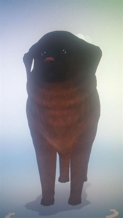 I made my dog on The Sims 4... : r/thesims