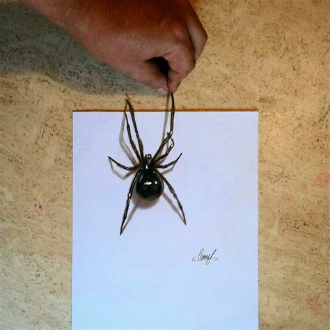 3d Spider Drawing