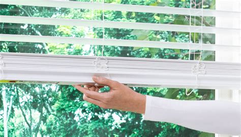 Best Blinds for Trapezoid Windows | Expert Guide to decide