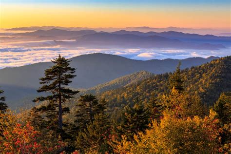 Smoky Mountains Fall Colors 2024 - Mina Suzann