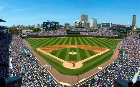 Chicago Cubs - Stadium Dude