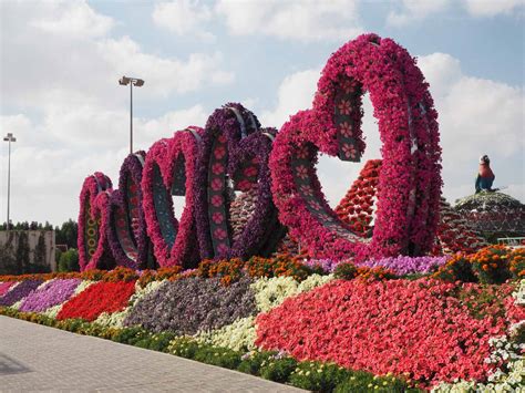 Dubai Miracle Garden, an amazing garden in the middle of the desert ...