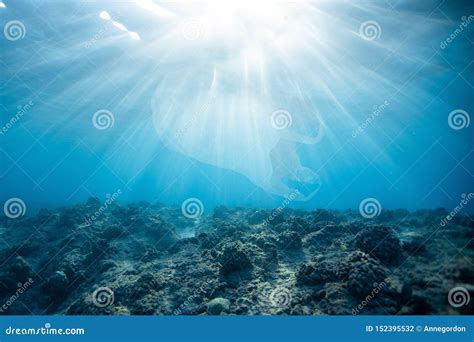 Plastic Bag Pollution in Blue Ocean Stock Photo - Image of nature, life ...