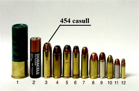 .454 Casull: Ballistics and Performance Explained