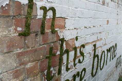 Moss Graffiti, Living Art