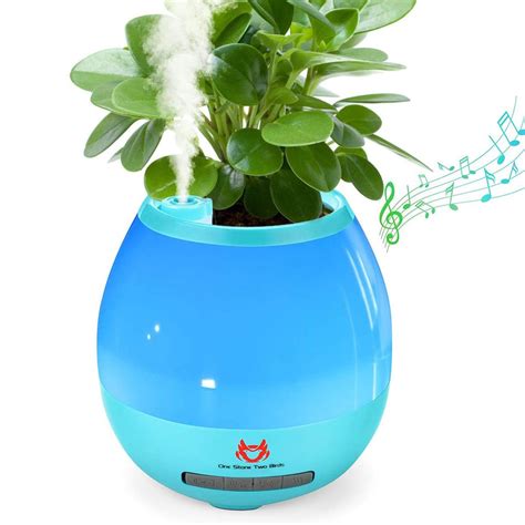 9 Innovative Plant Humidifiers and Misters | Family Handyman