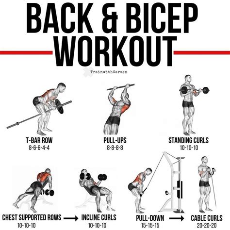 Rücken und Bizeps: Die beste Trainingskombination | Back and bicep ...