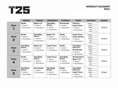 Focus T25 Alpha Beta Gamma Calendar