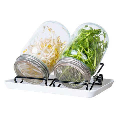 Buy Seed Sprouter Kit 2 Sprouting Mason Jar Kit with Stainless Steel ...