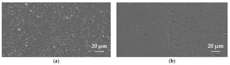 The surface of the TiCN-MP coating identified via SEM: (a) After ...