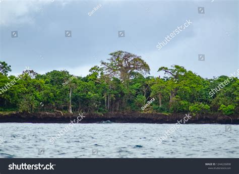 Wasini Island Coastal Landscape Stock Photo 1244226898 | Shutterstock