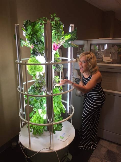 www.vanniekerk.towergarden.com Grow 365 - 24/7 indoor or out with the ...