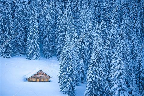 Secluded mountain cabin in winter wonderland in the Alps — Stock Photo ...