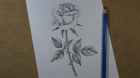 Realistic Rose Outline Drawing: Master the Art with Our Foolproof Guide