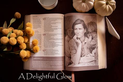 The Abide Bible ⋆ A Delightful Glow