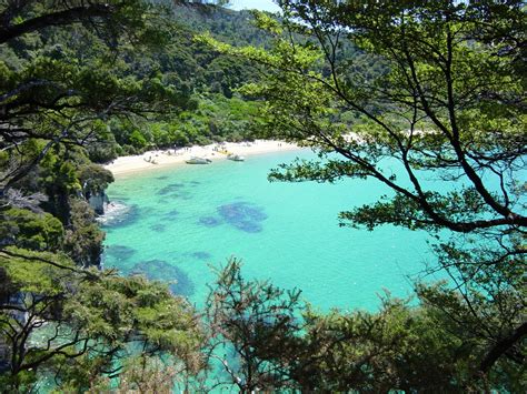 Abel Tasman National Park Free Photo Download | FreeImages