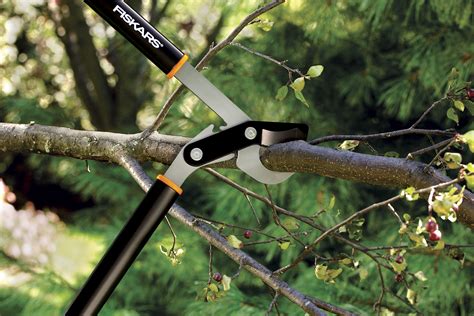 Top 10 Tools to Conquer the Landscape | Garden Housecalls