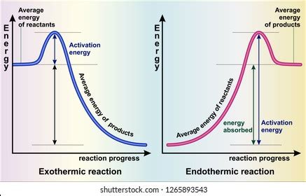 Endothermic And Exothermic Reaction Graph