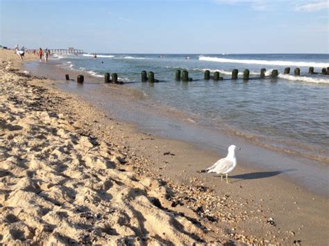 Belmar Beach and Boardwalk - All You Need to Know BEFORE You Go ...