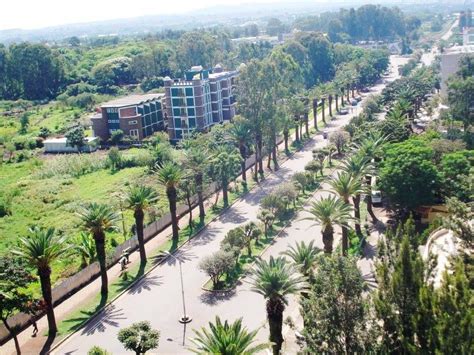 #bahirdar | Bahir dar, Outdoor, Farmland