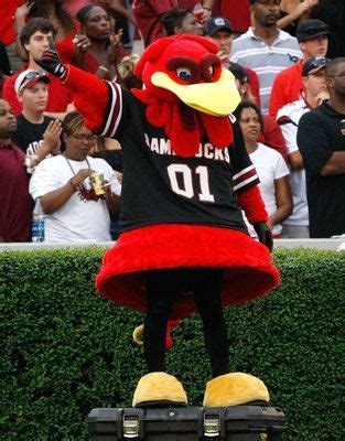 COCKY SOUTH CAROLINA MASCOT | South carolina gamecocks, South carolina ...