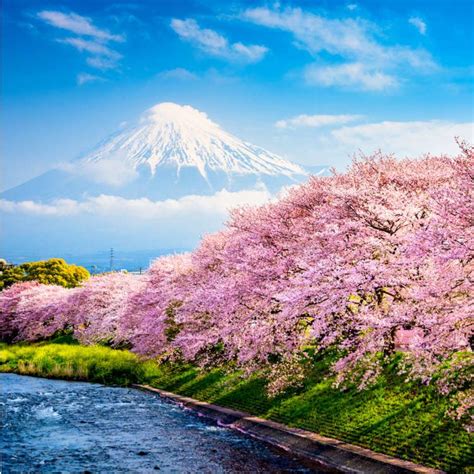 Spring Travel Guide: 10 Tips for Visiting Japan in Spring | LIVE JAPAN ...