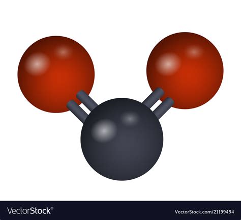 A molecule of carbon dioxide Royalty Free Vector Image