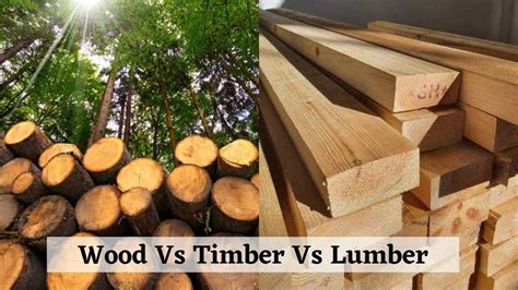 Difference Between Wood And Timber