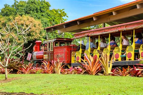 Dole Pineapple Plantation | Tour Stop Tips, Info & Sweet Treats