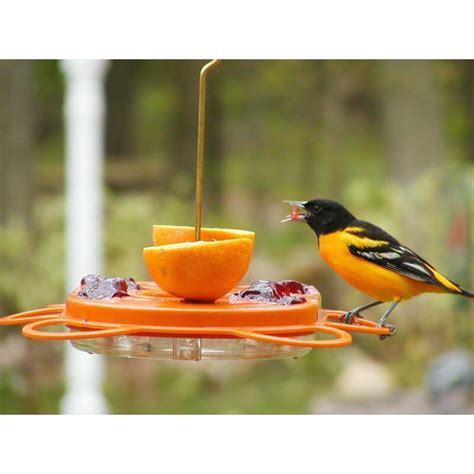 Oriolefest All-in-One Oriole Feeder - Flying Friends