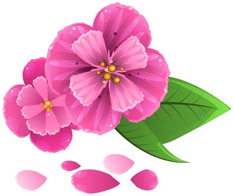 Pink flower png, Pink flower png Transparent FREE for download on ...