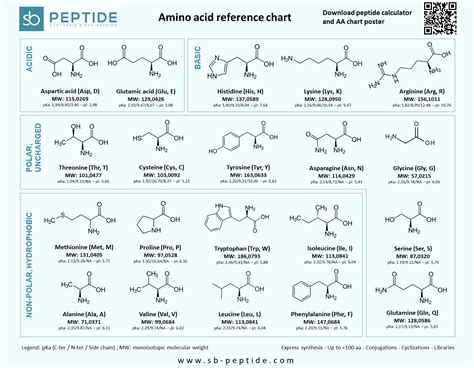 Amino Acid Periodic Chart