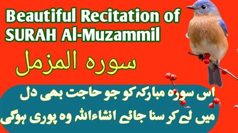 سورۃ المزمل, Beautiful Recitation of SURAH Al-Muzammil, سورہ مزمل ہر ...