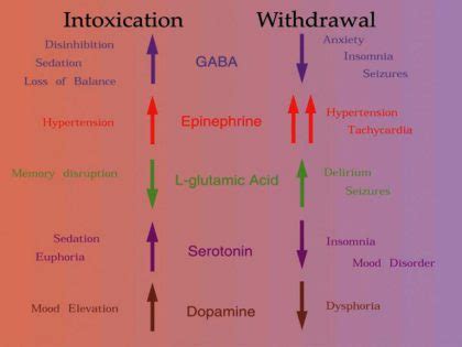 Alcohol Detox Timeline - How Long Does Alcohol Withdrawal Last? - Fit ...