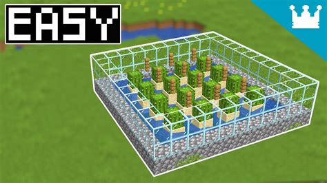 Minecraft Schematics Cactus Farm