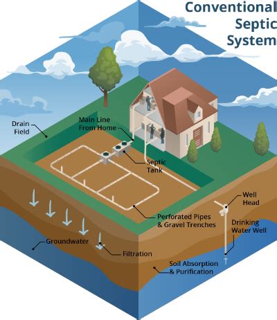 Your Septic System - Water Programs - University of Florida, Institute ...