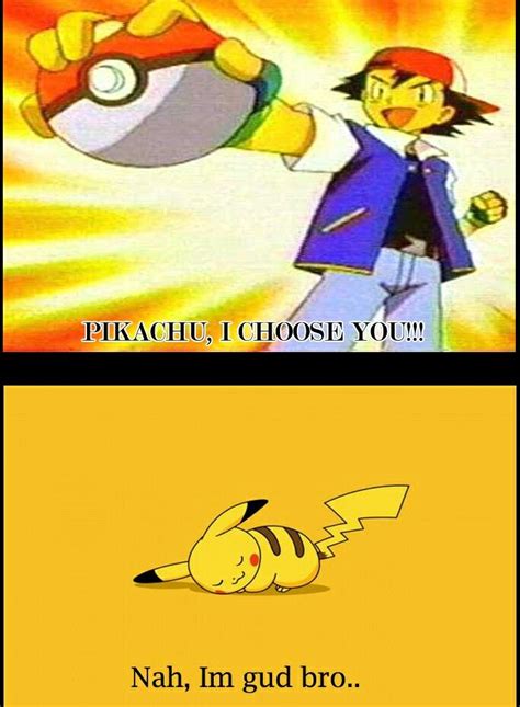 Pikachu-pokemon-meme | Pikachu funny, Pokemon, Cute pokemon