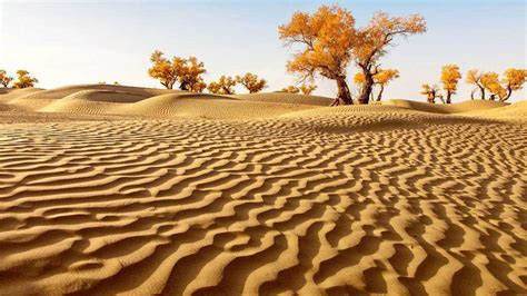 Taklamakan Desert, Tarim Basin, People's Rebublic of China