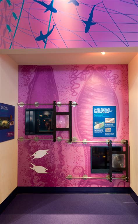 The Maritime Aquarium | Norwalk, CT | Exhibits on RISD Portfolios