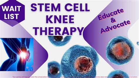 Stem Cell Therapy Research - Net Patient Foundation