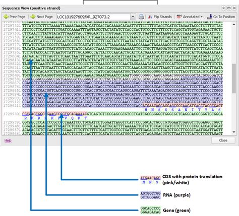 Sequence Text View