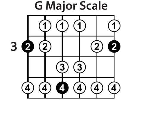 Learn The Major Scale On Guitar - Lead Guitar Lessons