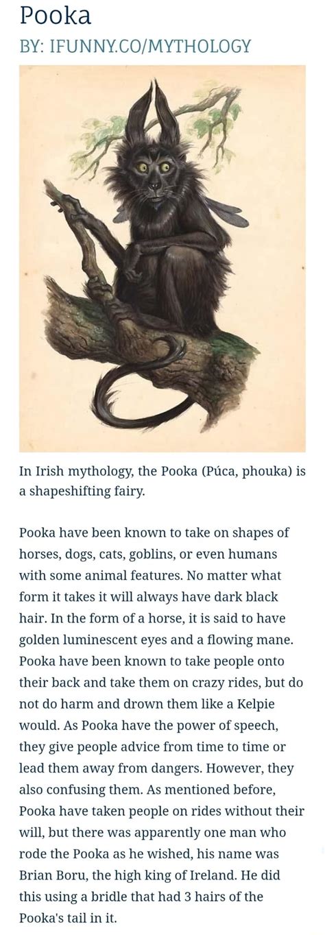 Pooka BY: IFUNNY.CO/MYTHOLOGY In Irish mythology, the Pooka (Ptca ...